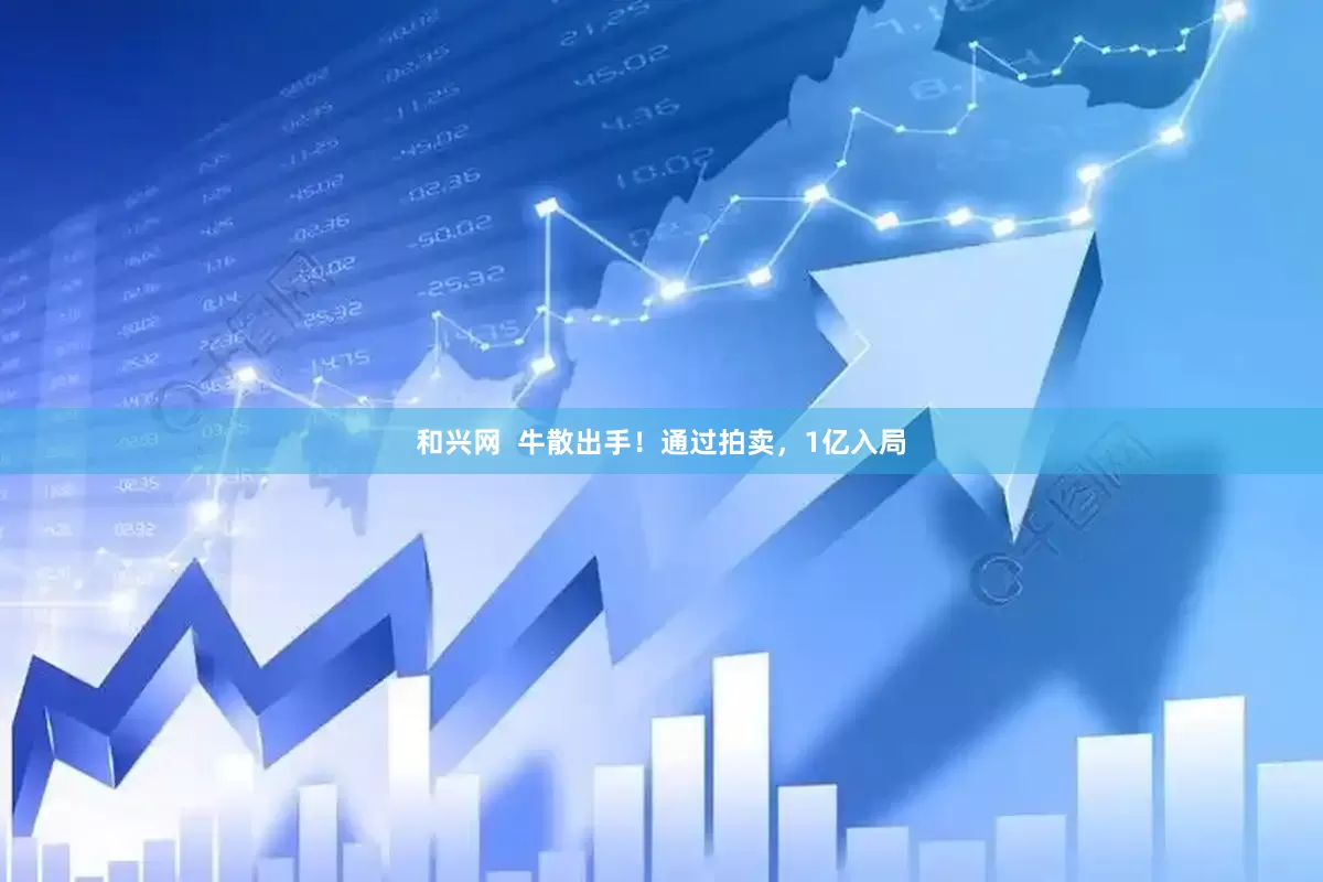 和兴网  牛散出手！通过拍卖，1亿入局