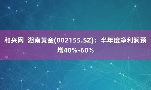 和兴网  湖南黄金(002155.SZ)：半年度净利润预增40%-60%